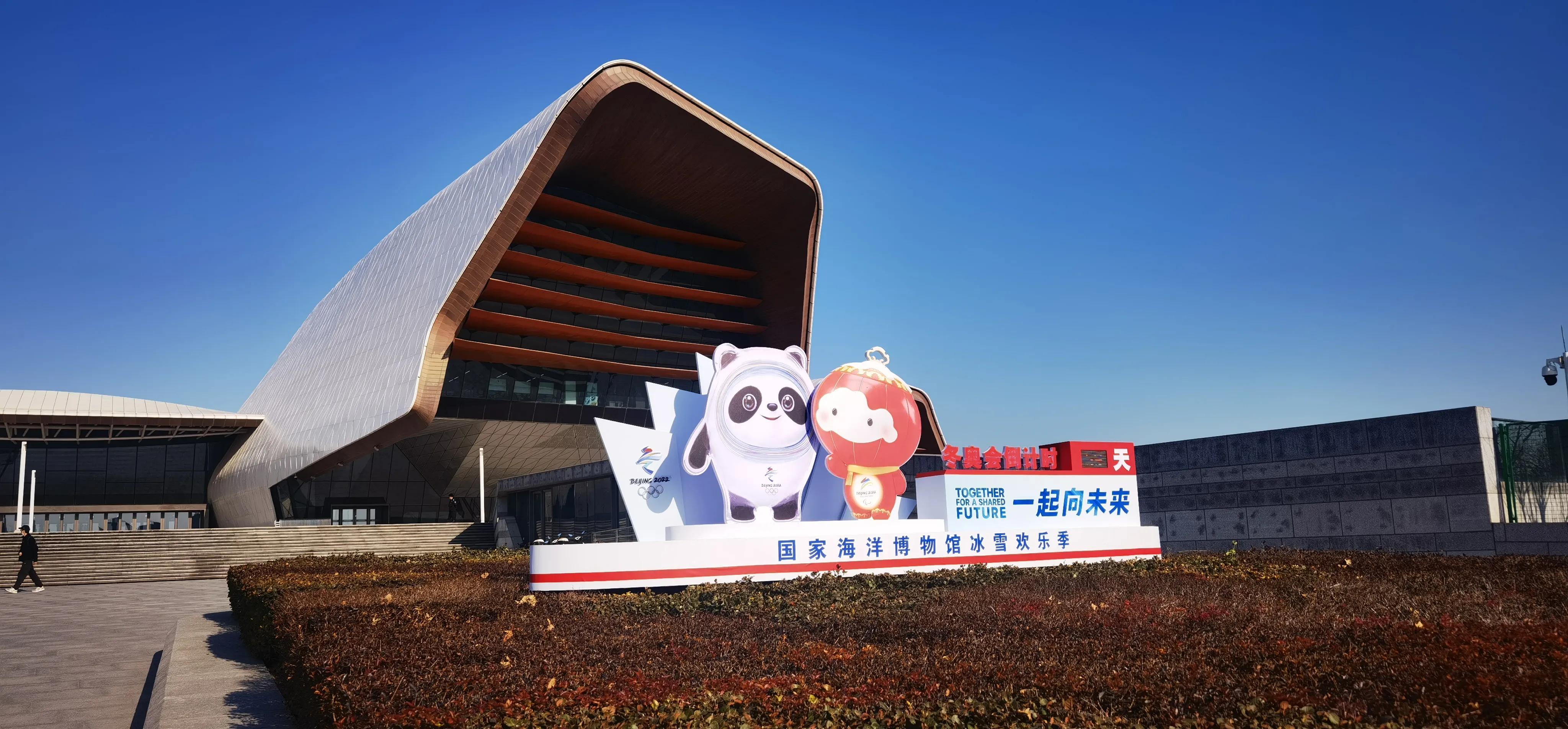 天津小巷深处的隐秘花园,探秘特色小店之谜