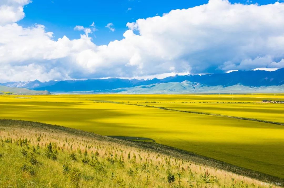 青海,嘉宾与观众共襄盛举