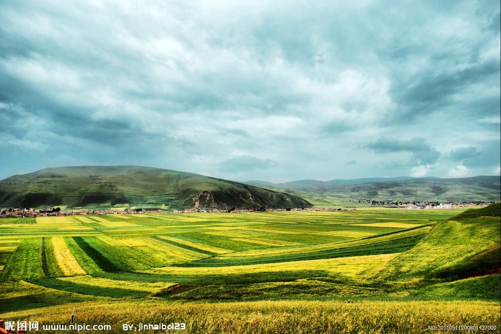 青海,嘉宾与观众共襄盛举