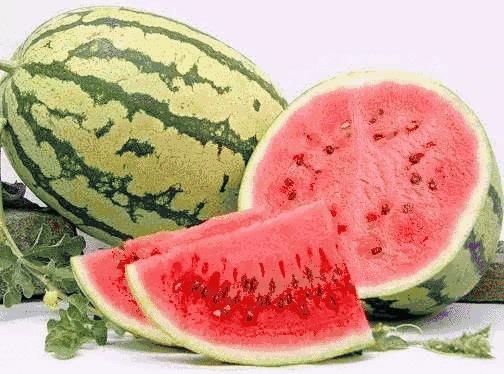 黄土高原上的时空行者