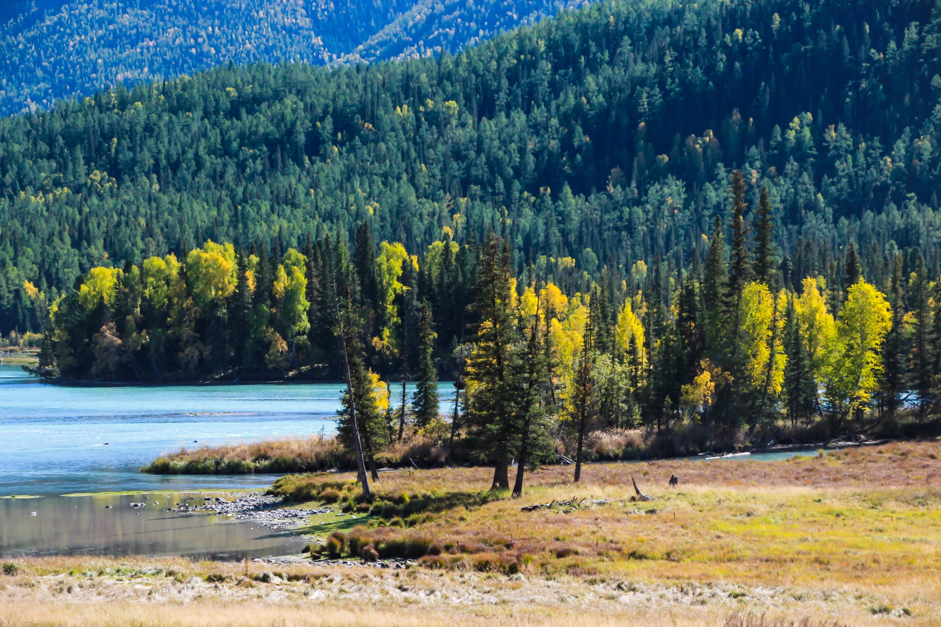 丝路明珠,新疆——多元文化融合的和谐家园